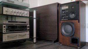 Radiotehnika 35АС-1 – Лучшая акустика Рижского ПО «Радиотехн?