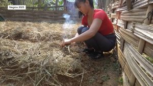 Дорис 24. Дорис полностью перепахивает огород у дома и сажает новые растения