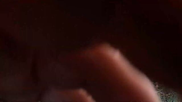 25 09 2024 г. Охота на зайца с молодым выжлецом.