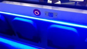 Электробус с гармошкой ПК ТС Пионер-6245 (выставка Comtrans-2