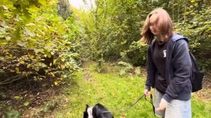 24 ЧАСА ИДУ ЗА СОБАКОЙ | куда же она меня завела ?🤔 #окки