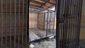 Вольер для собак своими руками #алабай #dog #вольеры
