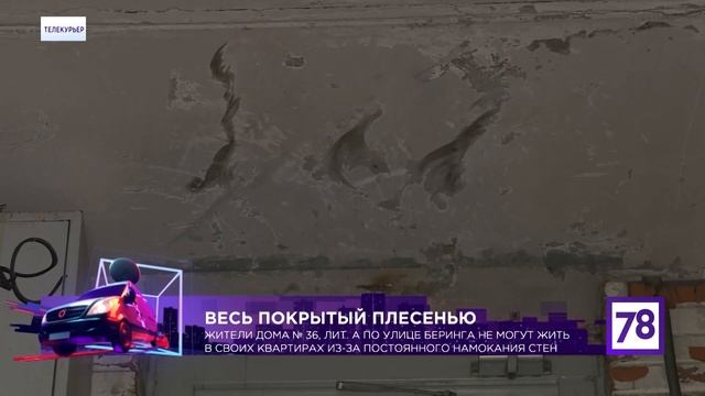 дом спб, сити сервис смотреть онлайн