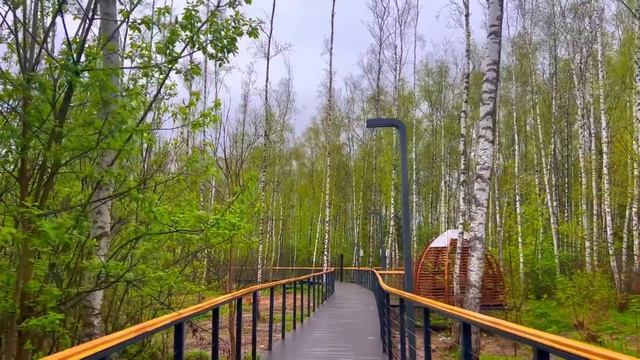 Муж подарил Марине на Новый Год набор кастрюль, а сест? смотреть онлайн