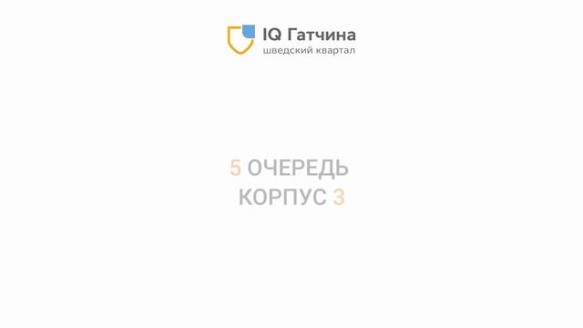 "IQ Гатчина" - ход строительства. Июнь 2024 г.