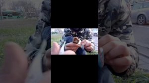 Сколько можно заработать если мыть фары (Я БЫЛ В ШОКЕ)