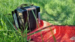 Гармонь с мусорки. Чайка