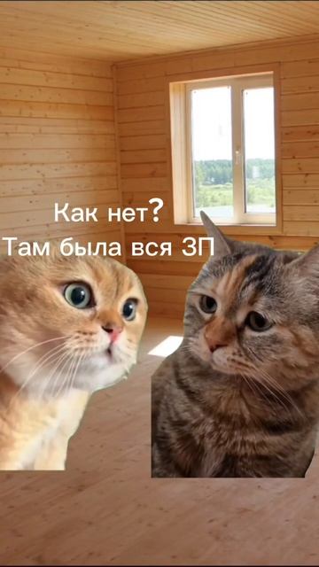 Инвестиции бывают разные😂 ТГ - FinGuru Анастасия Галицын смотреть онлайн