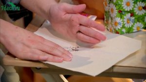 Многолетние цветы из семян: основные правила выращивания - 7 дач