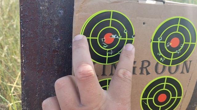 Доберман & Крюгерган. Сравним в полевых условиях