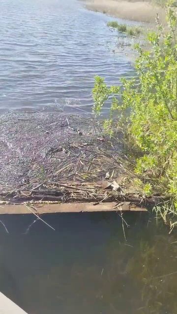 🥰 смотреть онлайн