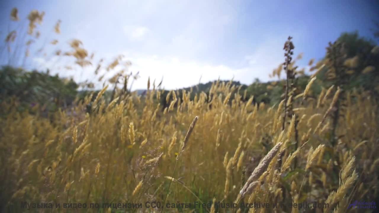 Эта музыка превращает заправку в середине ночи в свидание - New Millenium Jam -- New Millennium Stri