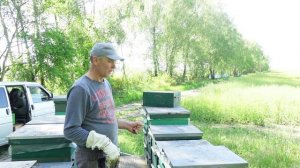 ОБЫЧНОЕ УТРО У ОБЫЧНОГО ПЧЕЛОВОДА