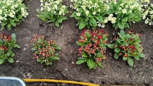 ЖИЗНЬ В ЦВЕТУ: КАК ВЕСНА МЕНЯЕТ ВСЁ!