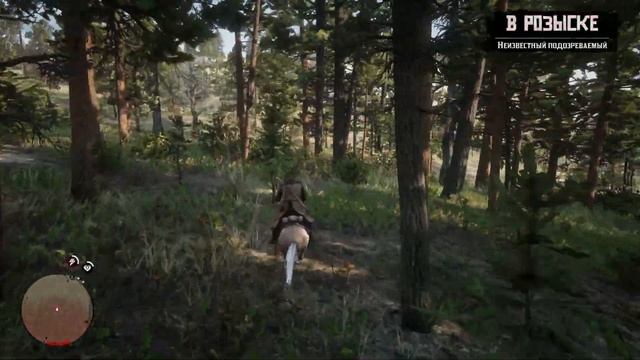Red Dead Redemption 2 Прохождение 2K #6