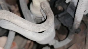 Где находится клапан управления турбиной на Рено Даст