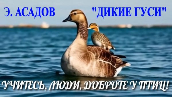Стихотворение Э.Асадова "Дикие гуси".