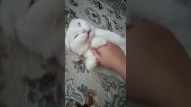 Прасыпайся утро уже !!! смотреть онлайн