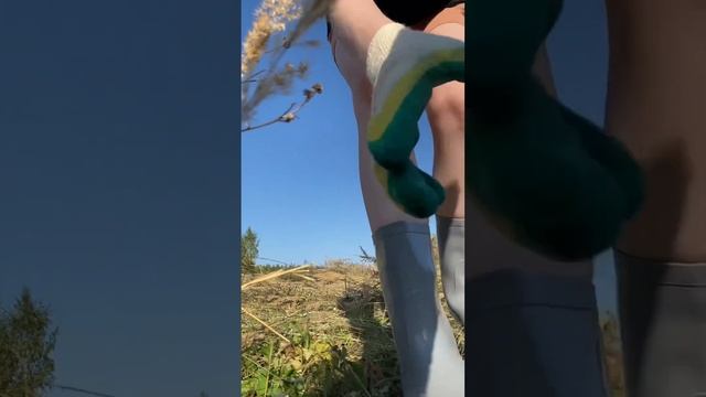 Из большого города в деревню. Готовим территорию под с смотреть онлайн