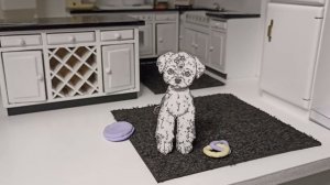 вопрос-ответ с бумажной собакой Еффи.