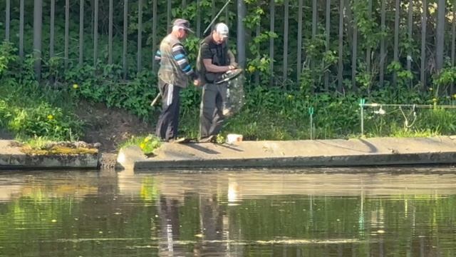 Поимка Карпа смотреть онлайн