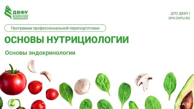 новый набор смотреть онлайн