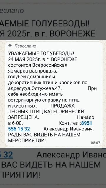 24.05.2025г Воронеж Состоится Ярмарка Голубей и Сельхоз Птицы. смотреть онлайн