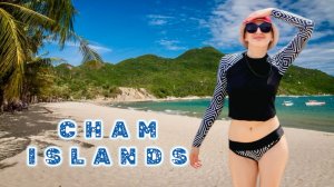 Чамские острова. Дайвинг и снорклинг. Экскурсия из Хойана 1080