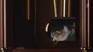 Рекламные заставки (Первый Канал  Лето Июнь полностью