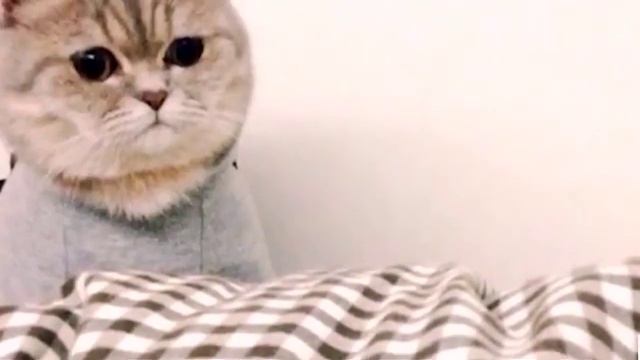 Как быстро заработать прямо сейчас и сразу Юмор смотреть онлайн