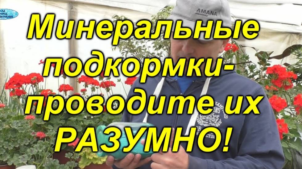 🌱 Почему эти минеральные подкормки НЕ вредят урожаю? Разбираем мифы! смотреть онлайн