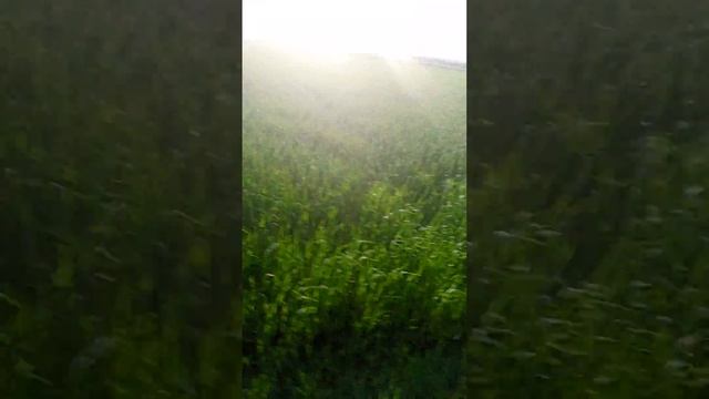 покатушки на Риге 16 по полю смотреть онлайн
