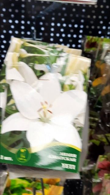 🌼В Фикс Прайс привезли луковицы лилий🌼Shorts смотреть онлайн