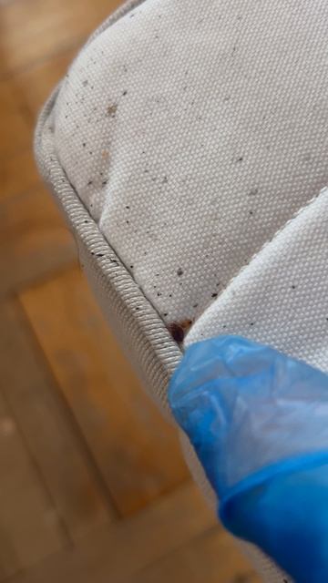 Думал я его не найду 🤣