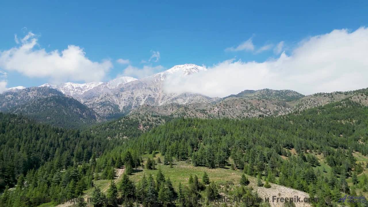 Почему ваш мозг не может обработать эти образы - PhotobiomodulationStates Of Coincidence -- 10 Echo