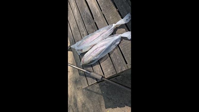 24.05.25 г. Парк отдыха водопад смотреть онлайн