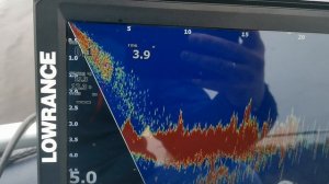 eagle eye в мутной воде