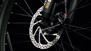 Горный велосипед с багажником Cruzer Wisent