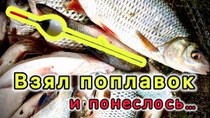 Ловля на поплавочную удочку в проводку на течении. Подбор места, удочка, леска, поплавок, прикормка