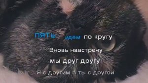 Пиджак ! Анастасия ! Караоке -