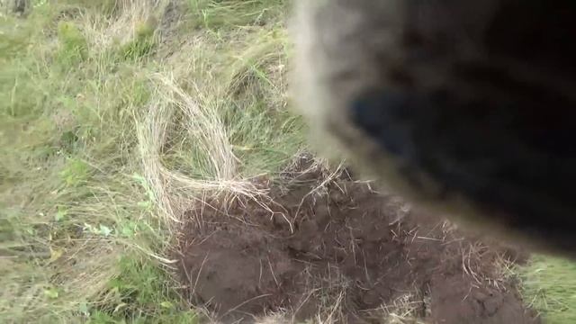 Вчера золотая медаль, а сегодня копаем металлолом! смотреть онлайн