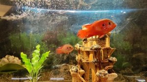 Отель Сочи Лазаревское