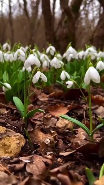 Крым #naturephotography #nationalparks #nature смотреть онлайн