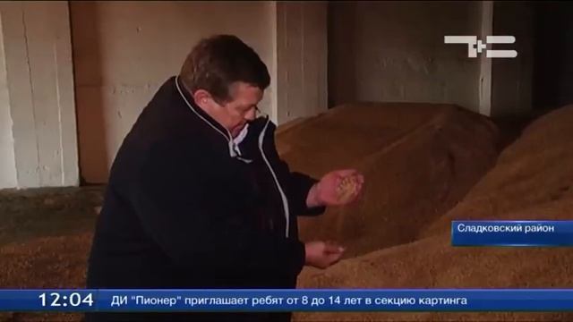 Сладковские аграрии готовят новый урожай на хранение смотреть онлайн