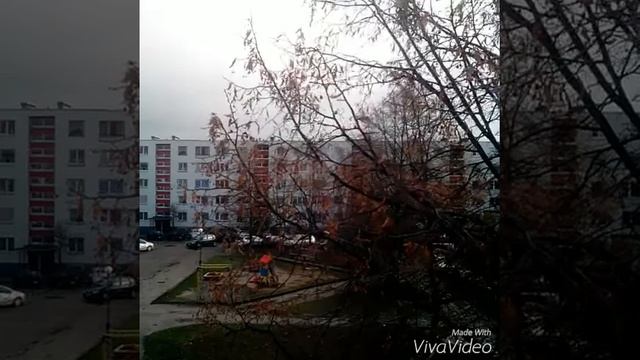 интересный день торалай смотреть онлайн