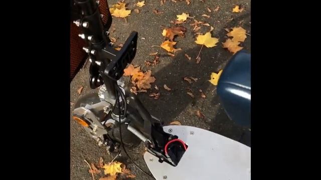 Пробная поездка на ЭЛЕКТОРОСАМОКАТЕ.