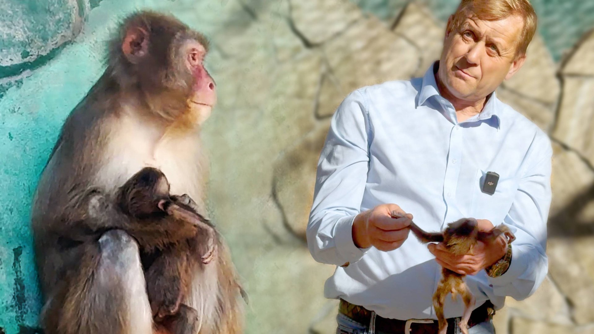 Ей бы жить, но малышка умерла! Рита носила бездыханное тельце дочки и не хотела отдавать! До слёз! смотреть онлайн