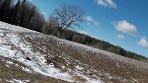 Скаут сафари 3+ испытания