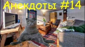 Улетные Анекдоты от Кота полная умора #14