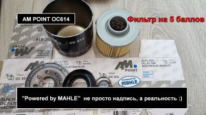 Распил масляного фильтра AM POINT OC614 (аналог W7030, W7056)